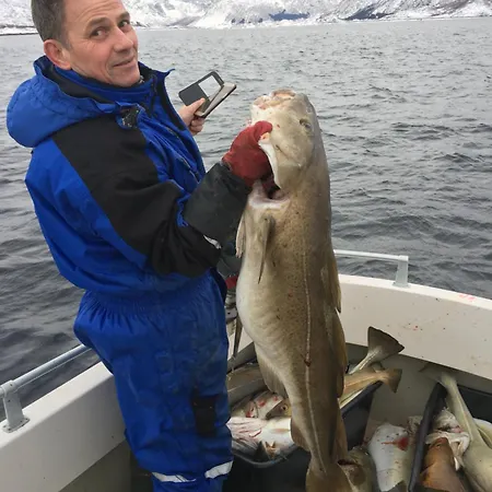 Hammerstad Semesterpark 3*