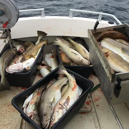 Semesterpark Hammerstad 3*