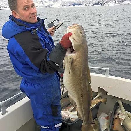 Hammerstad Svolvær